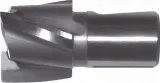 frez-gfs-158306