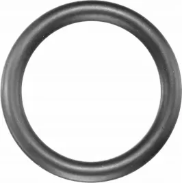 pierscien-gum-do-nasadek-3-4-dla-o-44mm-asw
