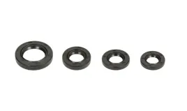 komplet-uszczelniaczy-silnika-power-force-gy6-50cc-4t-4szt