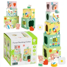 classic-world-ukladanka-kostki-box-lesna-piramidka-10-el-fsc