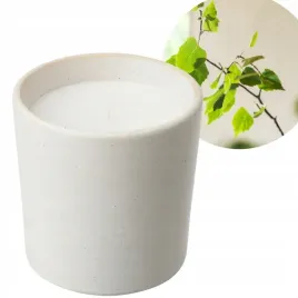 ikea-adlad-swieca-zapachowa-skandywawia-50h-skandynawskie-lasy-w-szkle