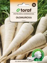 nasiona-warzyw-na-tasmie-pietruszka-korzeniowa-olomuncka-6m-toraf-270