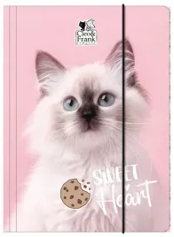 teczka-z-gumka-a4-cleo-i-frank-45-kot-derform