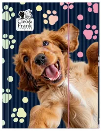 teczka-z-gumka-a4-cleo-i-frank-44-pies-derform