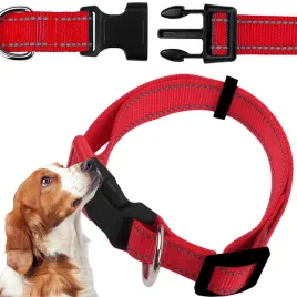obroza-dla-sredniego-psa-szczeniaka-30-50-cm-2-cm-czerwona-odblask