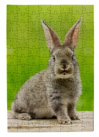 puzzle-ukladanka-z-krolikiem-krolik-120-elementow-20x30-cm-ukladanie