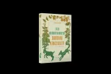 lato-marnotrawnych-barbara-kingsolver-stan-nowy
