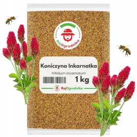 koniczyna-inkarnatka-na-poplon-1-kg-krwistoczerwona-miododajna-nasiona