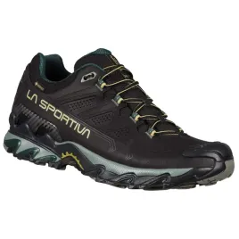 ultra-raptor-ii-leather-gtx