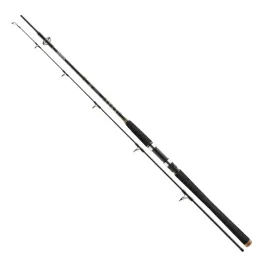 wedka-daiwa-bg-offshore-pilk-2-40m-40-125g-11905-245