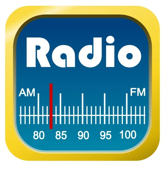 glosnik-bluetooth-kopier-przenosny-stan-nowy-funkcje-funkcja-karaoke-odpornosc-na-zachlapanie-odtwarzanie-plikow-audio-radio-fm
