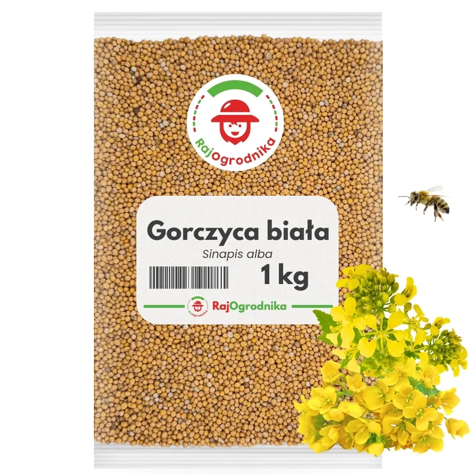 gorczyca-na-poplon-nasiona-5-kg