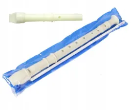 flet-prosty-plastikowy-etui-czyscik