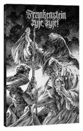 frankenstein-zyje-zyje-bernie-wrightson
