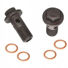 sruba-drazona-dci-151882356r-m10x10x23-renault-dacia-nissan-opel-gratis