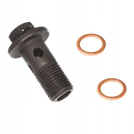 sruba-drazona-dci-151882356r-m10x10x23-renault-dacia-nissan-opel-gratis
