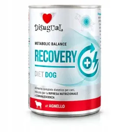 disugual-adult-weterynaryjna-recovery-jagniecina-400g