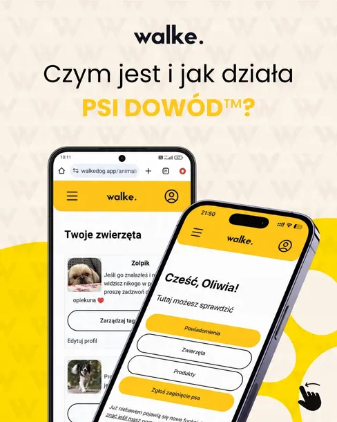 szelki-alius-z-psim-dowodem-xs-typ-regulowane