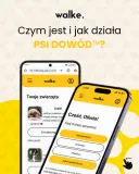 szelki-alius-z-psim-dowodem-xs-typ-regulowane