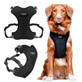 chaba-szelki-guard-comfort-classic-s-czarne-stan-nowy