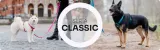 chaba-obroza-regulowana-cllassic-s-niebieska-stan-nowy