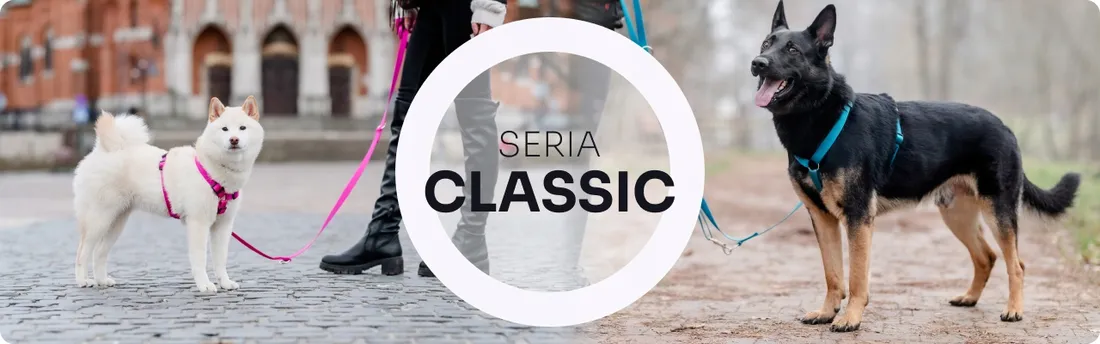 chaba-obroza-regulowana-cllassic-s-niebieska