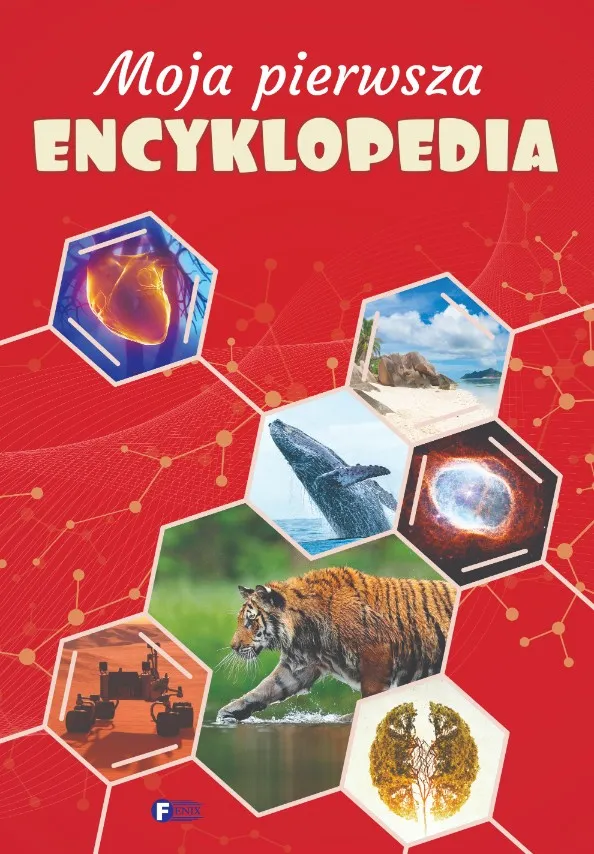 Grafika w opisie produktu