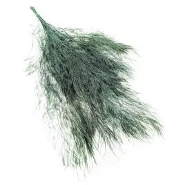 paproc-stabilizowana-drzewiasta