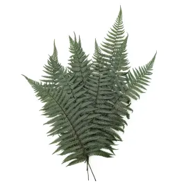 paproc-stabilizowana-pergaminowa