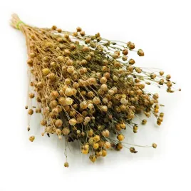 len-suszony-naturalny