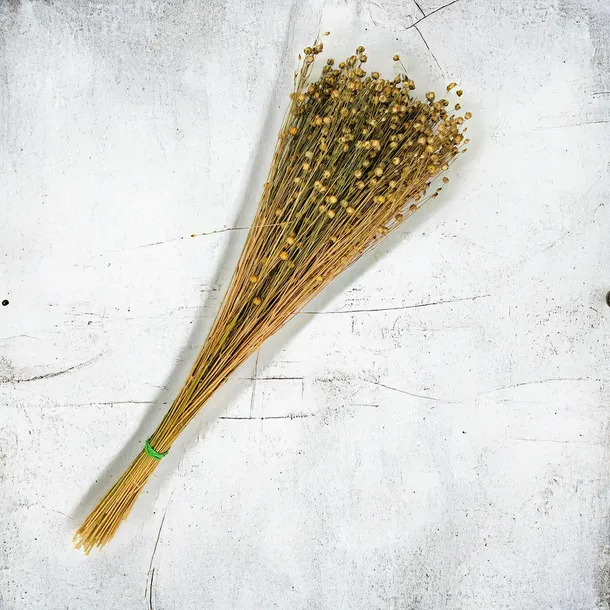 len-suszony-naturalny-kod-producenta-len-naturalny