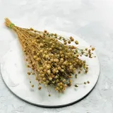 len-suszony-naturalny-wysokosc-maksymalna-60-cm