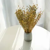 len-suszony-naturalny-marka-enchanted