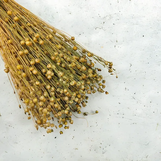 len-suszony-naturalny-stan-nowy-kod-producenta-len-naturalny