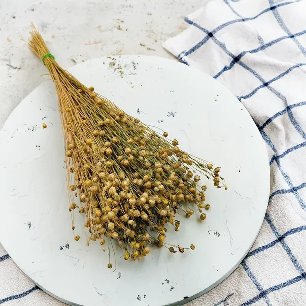 len-suszony-naturalny-stan-nowy-wysokosc-maksymalna-60-cm