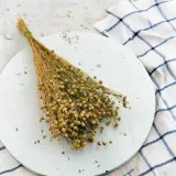 len-suszony-naturalny-stan-nowy-wysokosc-maksymalna-60-cm