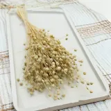 len-suszony-bielony-stan-nowy