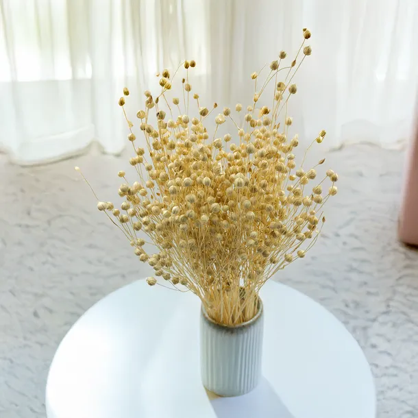 len-suszony-bielony-marka-enchanted