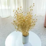 len-suszony-bielony-marka-enchanted