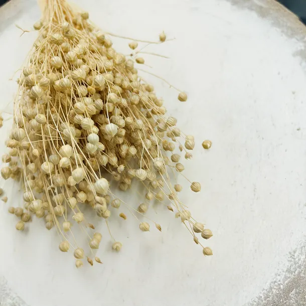 len-suszony-bielony-stan-nowy-kod-producenta-len-bielony