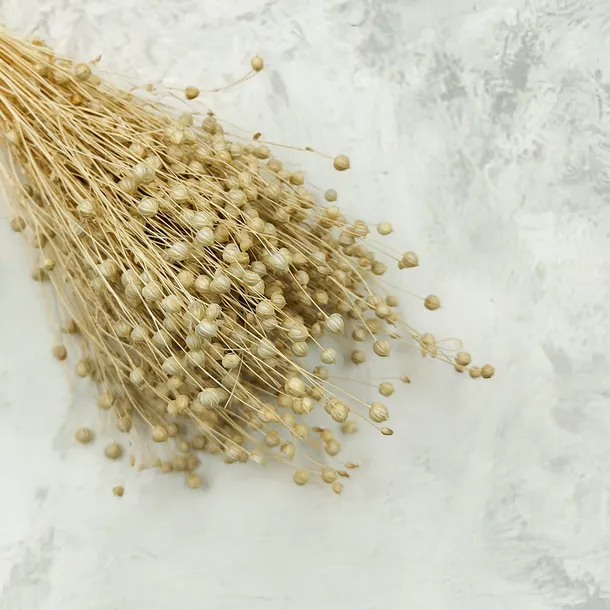 len-suszony-bielony-stan-nowy-wysokosc-maksymalna-60-cm