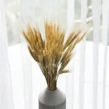 pszenzyto-suszone-naturalne-wysokosc-maksymalna-60-cm