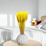 pszenzyto-suszone-zolte-kod-producenta-pszenzyto-zolte