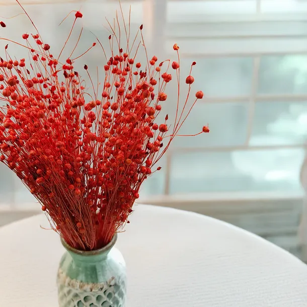 len-suszony-pomaranczowy-wysokosc-maksymalna-60-cm