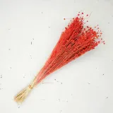 len-suszony-pomaranczowy-marka-enchanted