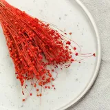 len-suszony-pomaranczowy-stan-nowy-kod-producenta-len-pomaranczowy