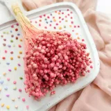 len-suszony-rozowy-stan-nowy-wysokosc-maksymalna-60-cm