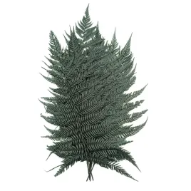 paproc-stabilizowana-narecznica-zielona