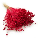 len-suszony-czerwony