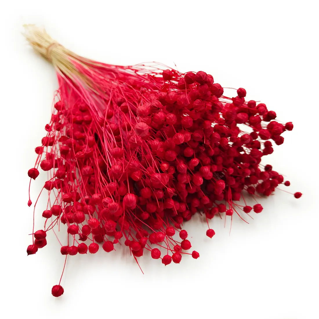 len-suszony-czerwony-stan-nowy